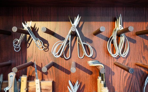 A portion of a dark wall, with pegs, holding plant pruning tools. 