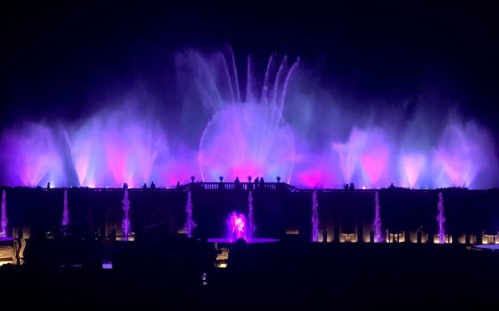 Large fountain display in pink and purple against a black night sky.