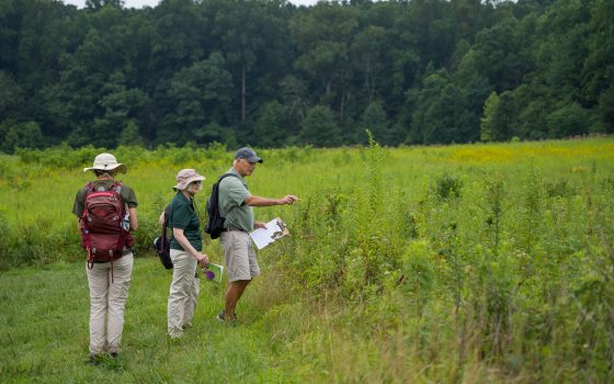 Three people holding clipboards and wearing backpacks, in a meadow looking at plants.