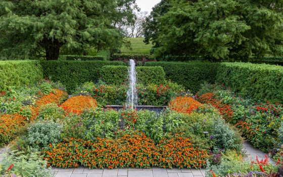 A square garden, with a square fountain in the center, and lush garden beds surrounding it, featuring orange and red blooms. 