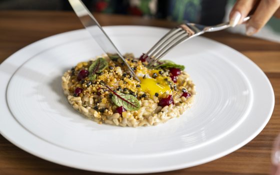 Closeup of beautifully presented food on a large round white plate, with a fork and knife, held by an unseen diner, poised above.