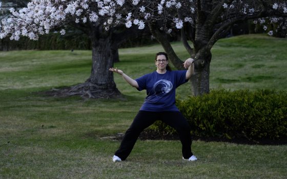A person practicing tai chi underneath a flowering tree in spring.