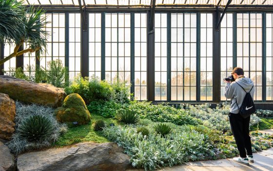 A person inside a conservatory, taking photos of succulents. 