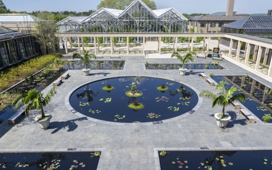 Broad view of one central round waterlily pool, surrounded by stone walkways, rectangular pools, and conservatory structures.