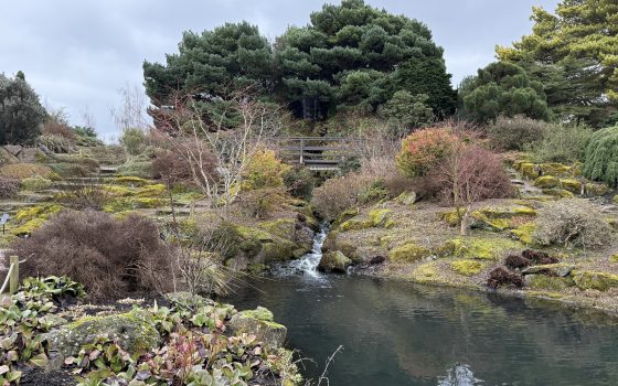 A botanical garden featuring a pond in the front right corner, and an early spring landscape surrounding it. 