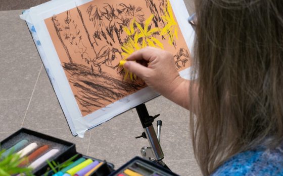 A person using pastels to create a piece of art inspired by an indoor plant conservatory.