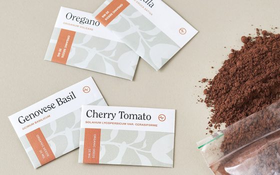 Four seed packets scattered on a white backdrop.