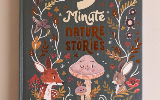 A book featuring whimsical illustrations of things found in nature, titled "5-Minute Nature Stories."