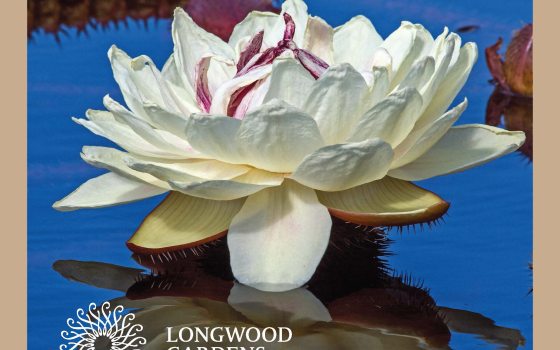 The front of the Longwood Gardens 2026 calendar featuring a waterlily.