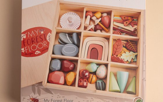 A box containing a wooden play set by the brand Tender Leaf.