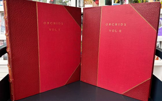 Two large red books, standing up, with the title "Orchids" in gold lettering.