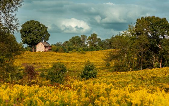 A brick farmhouse stands amid a golden meadow against a cloudy sky.
