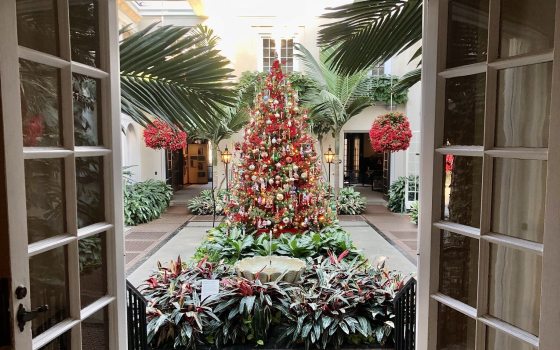 The view through french style doors, opening to a conservatory with a red and gold decorated christmas tree in the center.