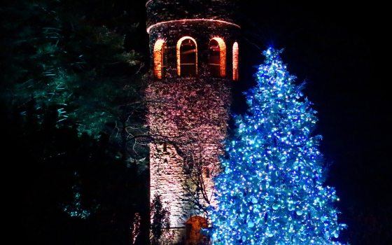 Stone carillon tower lit up at night, with a large blue-lit Christmas tree in the right foreground, and dark green uplighting in the left background.