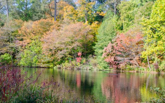 Trees with fall foliage are reflected on a water surface.