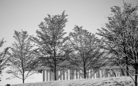 A black and white image of the conservatory landscape at Longwood Gardens.