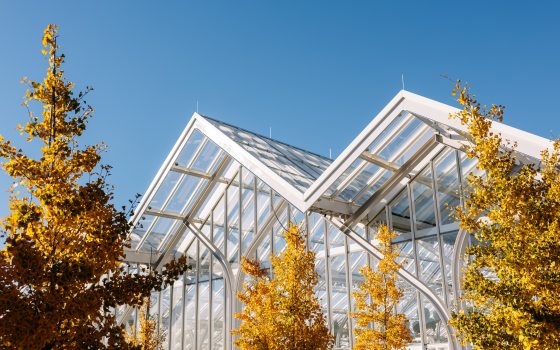The roof peaks of the West Conservatory, featuring trees with yellow leaves in front. 