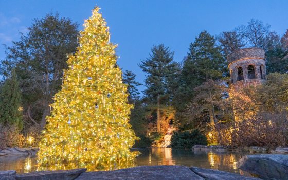 Stone carillon tower lit up at night, with a large lit Christmas tree in the foreground