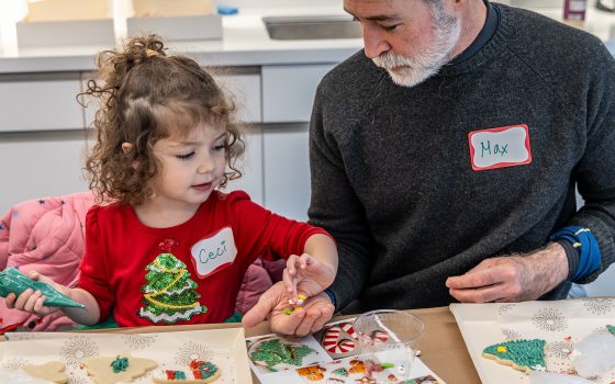 An adult and a young child decorate Christmas cookies.