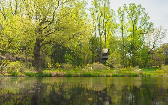 Spring-green trees and a treehouse reflect in the water of a lake.