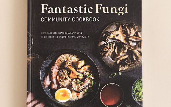Fantastic Fungi