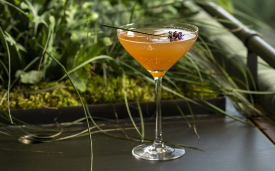A close-up of a cocktail in a stemmed martini glass, featuring an orange or amber-colored liquid. The drink is garnished with a small sprig of lavender or herb. It sits on a dark surface, with a lush, out-of-focus background of green foliage, moss, and tall grasses, suggesting a garden or natural setting.
