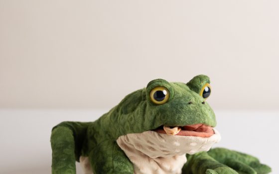 Toad Puppet