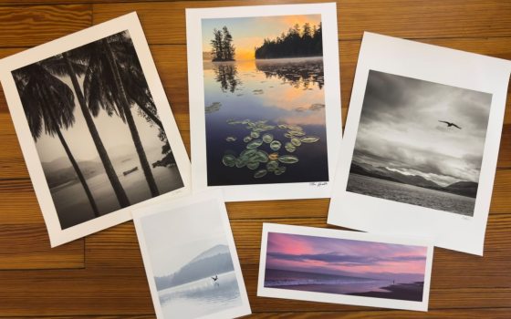 Printed photos on a wood background