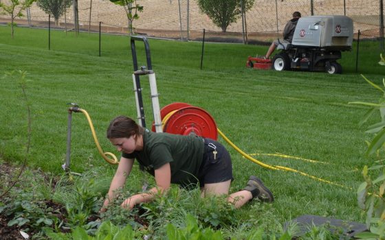 Gardener kneeling and weeding a flower bed next to a lush green lawn, with a hose reel and another worker operating machinery in the background.