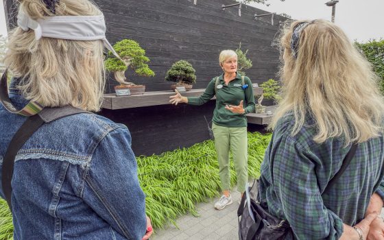 A female garden guide explains the bonsai display to two visitors in front of a dark, textured wall.