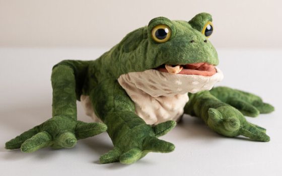 Toad Puppet