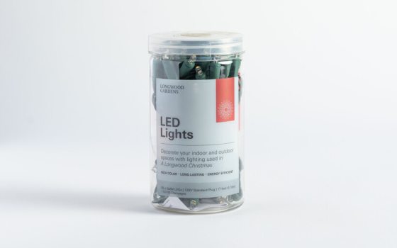 LED Lights