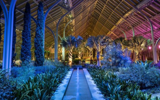 Indoor conservatory with tropical plants and soaring arches, lit with blue, gold, fuchsia.