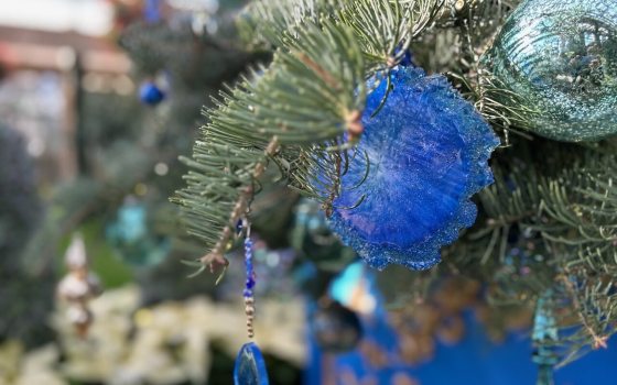 A close-up shot of a Christmas tree branch adorned with blue and turquoise ornaments. A striking, fuzzy, royal blue floral or star-shaped ornament is visible, along with a hanging decoration featuring a dangling, tear-drop-shaped clear blue crystal bead. White poinsettias are visible and slightly blurred in the lower left background