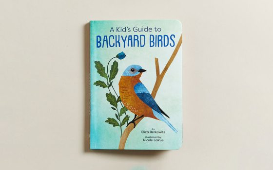 Kid's Guide to Backyard Birds