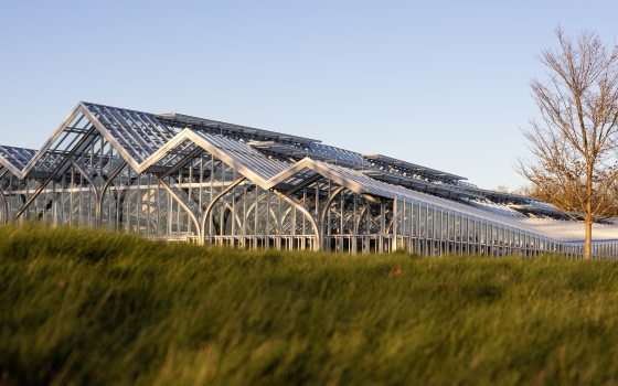 A large glasshouse with four visible peaks sprawls against a cloudless blue sky, fronted by a lawn of tall green grass, with nearly leafless trees in the right backgorund.
