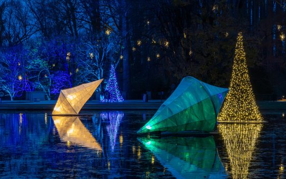 A close-up of a grassy lawn showing rows of small, clear, globe-shaped white lights staked into the ground as part of a large outdoor light display installation.