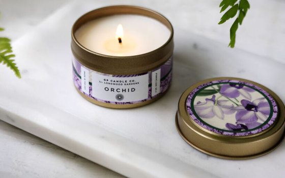 Orchid Travel Tin Candle
