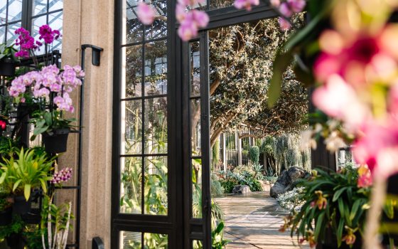 Pots of colorful orchids hang on a metal framework against glass walls, framing a doorway opening on to a garden of silver-toned succulents.
