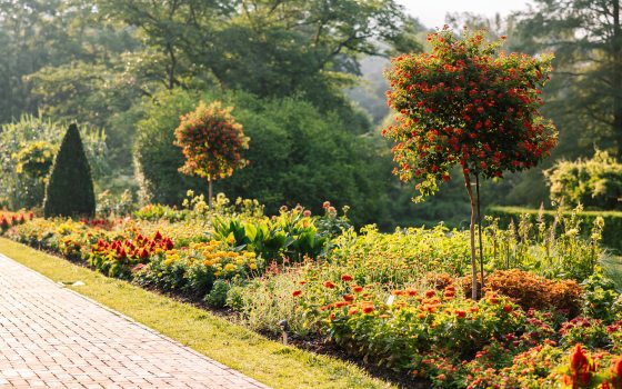 Diagonal view down an outdoor brick garden walkway, bordered by colorful flower beds, two flowering trees, and a cone-shaped topiary at the far end.