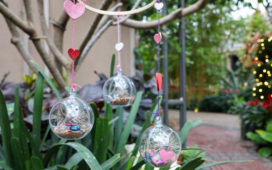 Mobile made during the Bubble Botanics Class