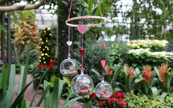 Mobile made during the Bubble Botanics Class