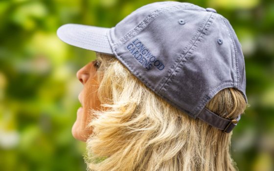 Adult Cap in Slate Blue