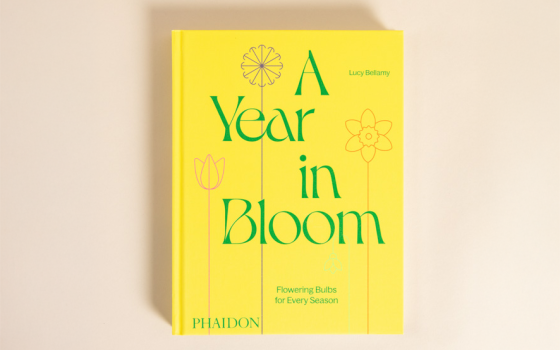 A Year in Bloom