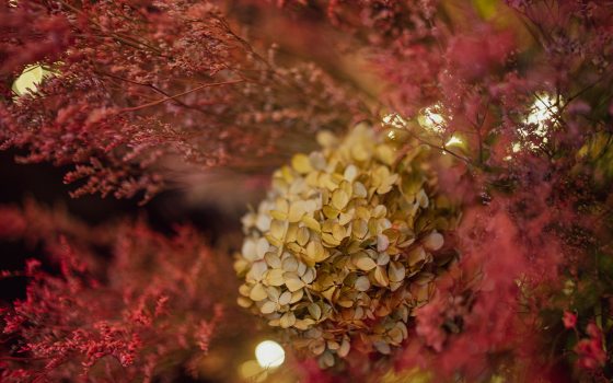 A close up of dried floral material in oranges, beiges, and reds.