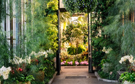 Autumn's Colors | Longwood Gardens