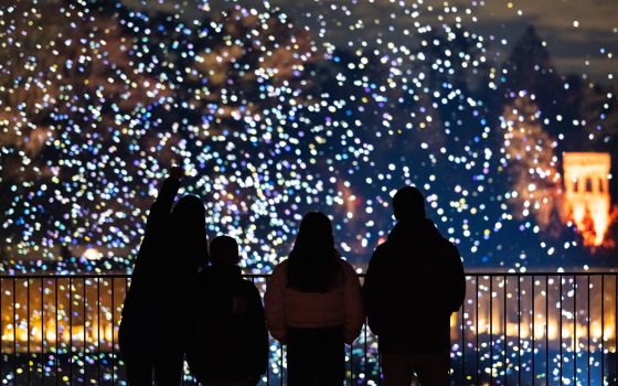 A wide, cinematic shot of the family of four silhouetted against a sprawling landscape of multicolored light orbs (white, blue, and purple). In the background, the architectural glow of a garden structure is visible, while the foreground is dominated by the dark railing and the family's silhouettes as they gaze at the immersive display.