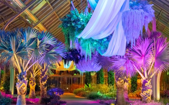 A nighttime image of a glass house that is lit up in hues of pink, blue, and green, with a hanging white drape and floral chandeliers hanging from the ceiling.  