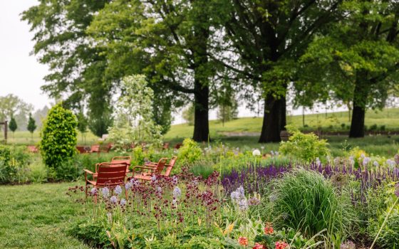 A serene landscape with tall oak trees, orange chairs, and lush garden beds. 