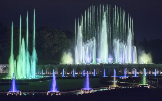 Fountains large and small rise up against a dark night sky in hues of green and purple.